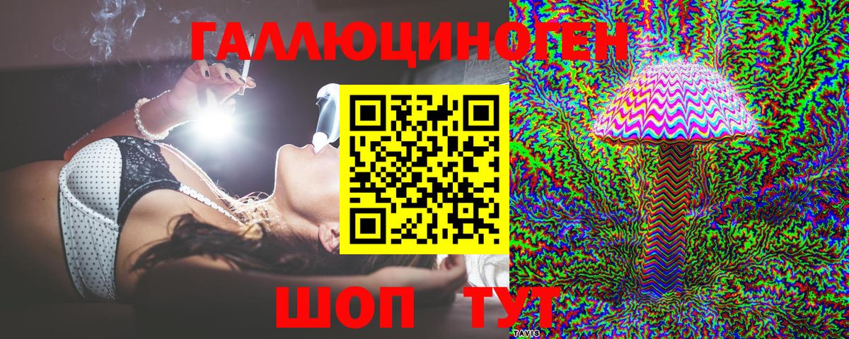 Галлюциногенные грибы Psilocybine cubensis Кыштым